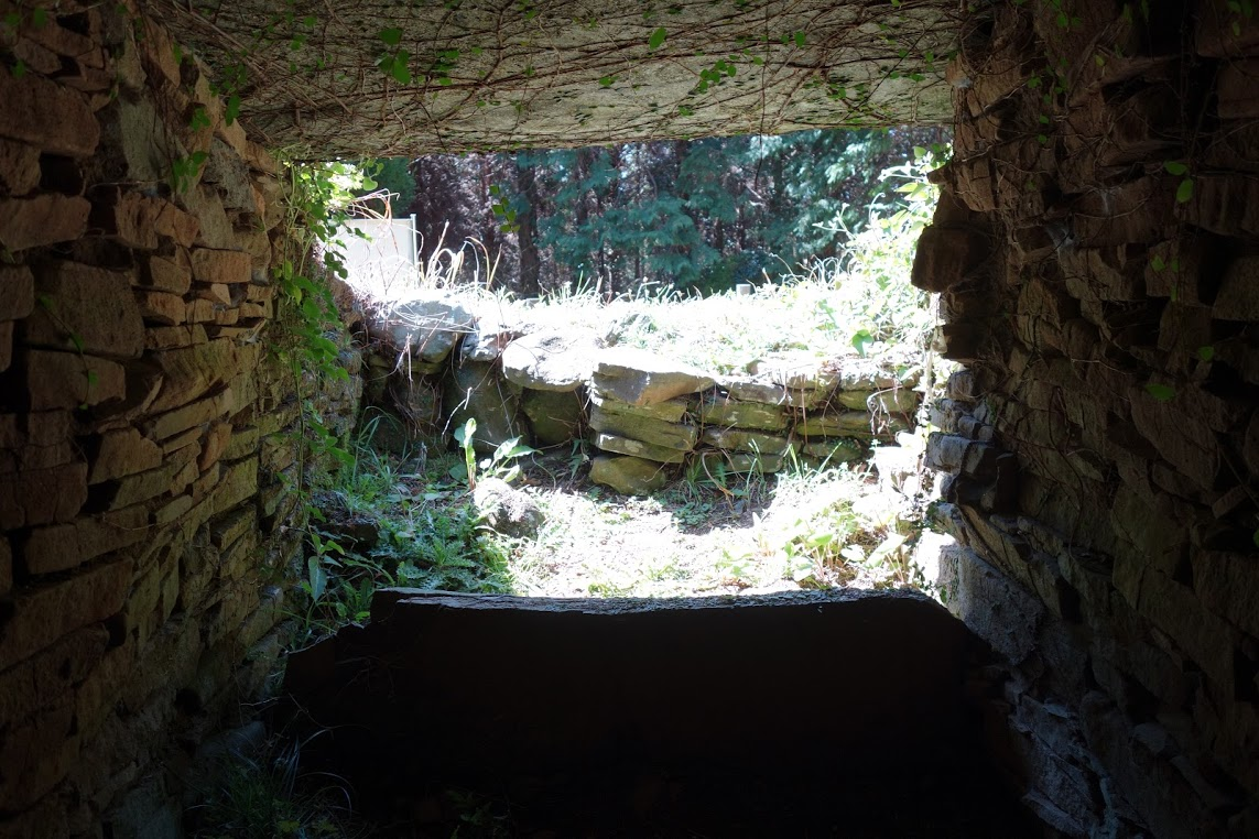 f:id:massneko:20200529153847p:plain