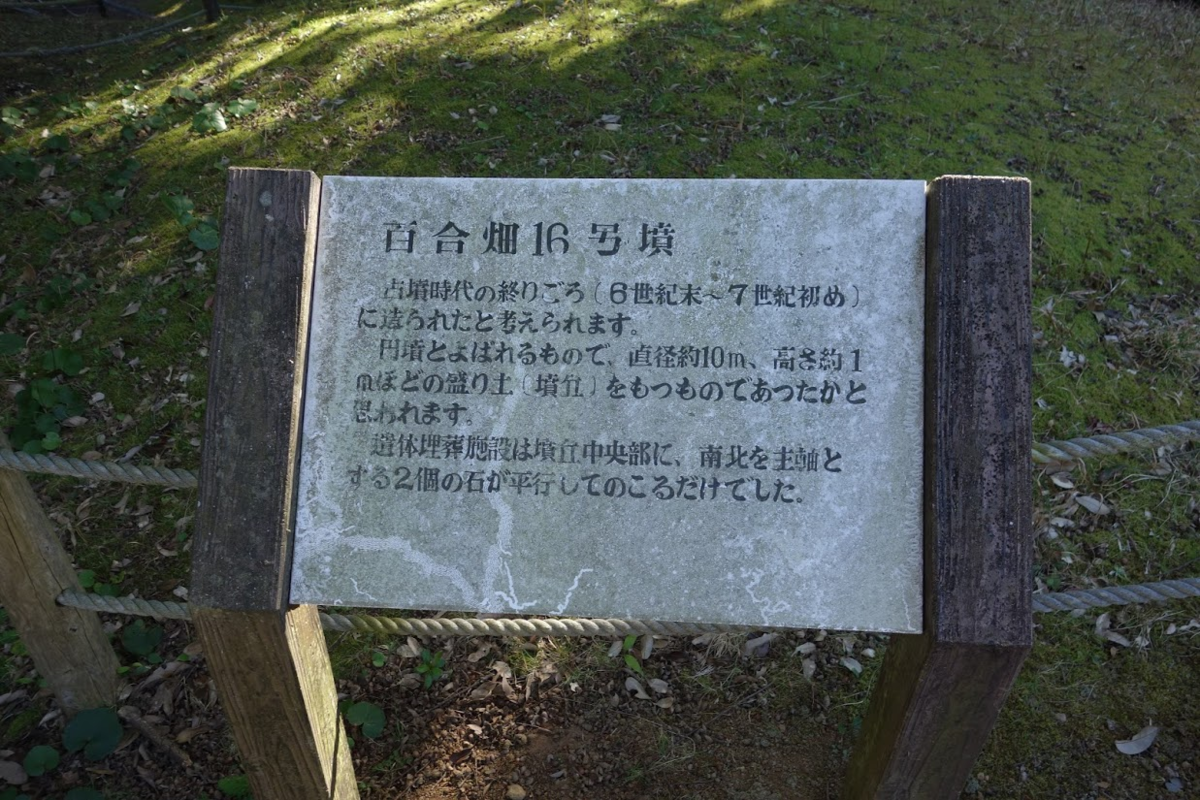 f:id:massneko:20200605112952p:plain f:id:massneko:20200605112952p:plain