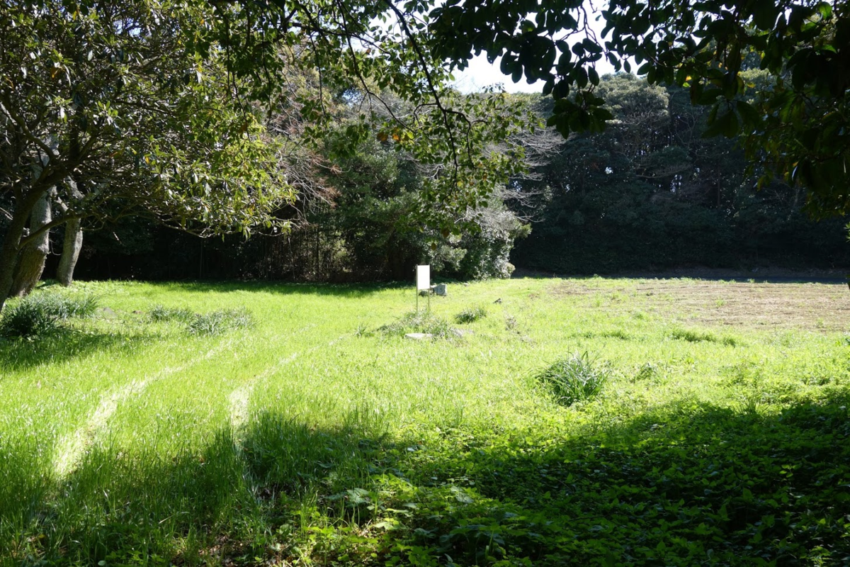 f:id:massneko:20200622100735p:plain