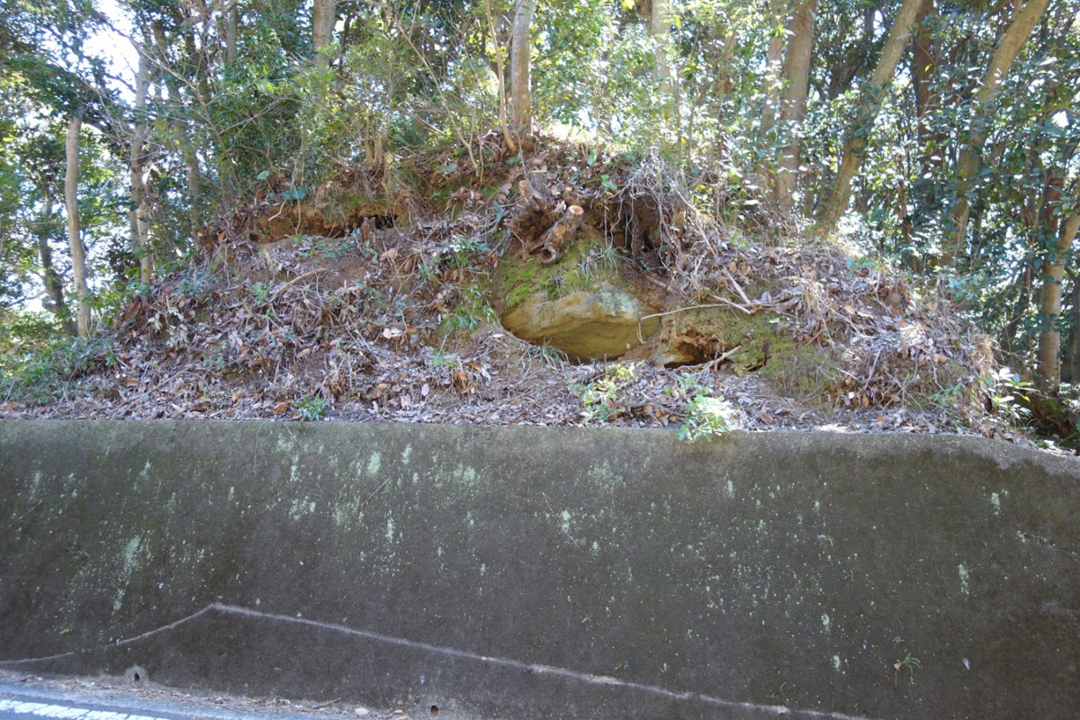 f:id:massneko:20200622101003p:plain
