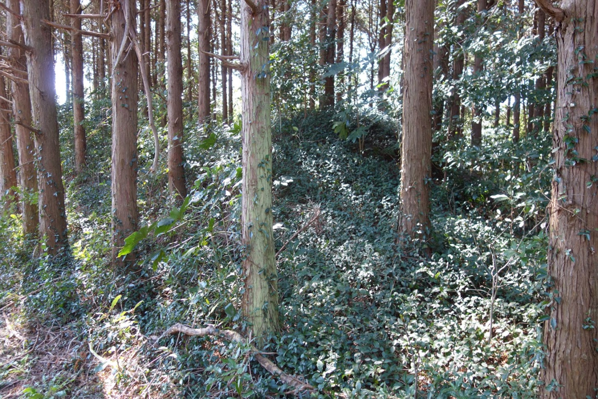 f:id:massneko:20200622101528p:plain