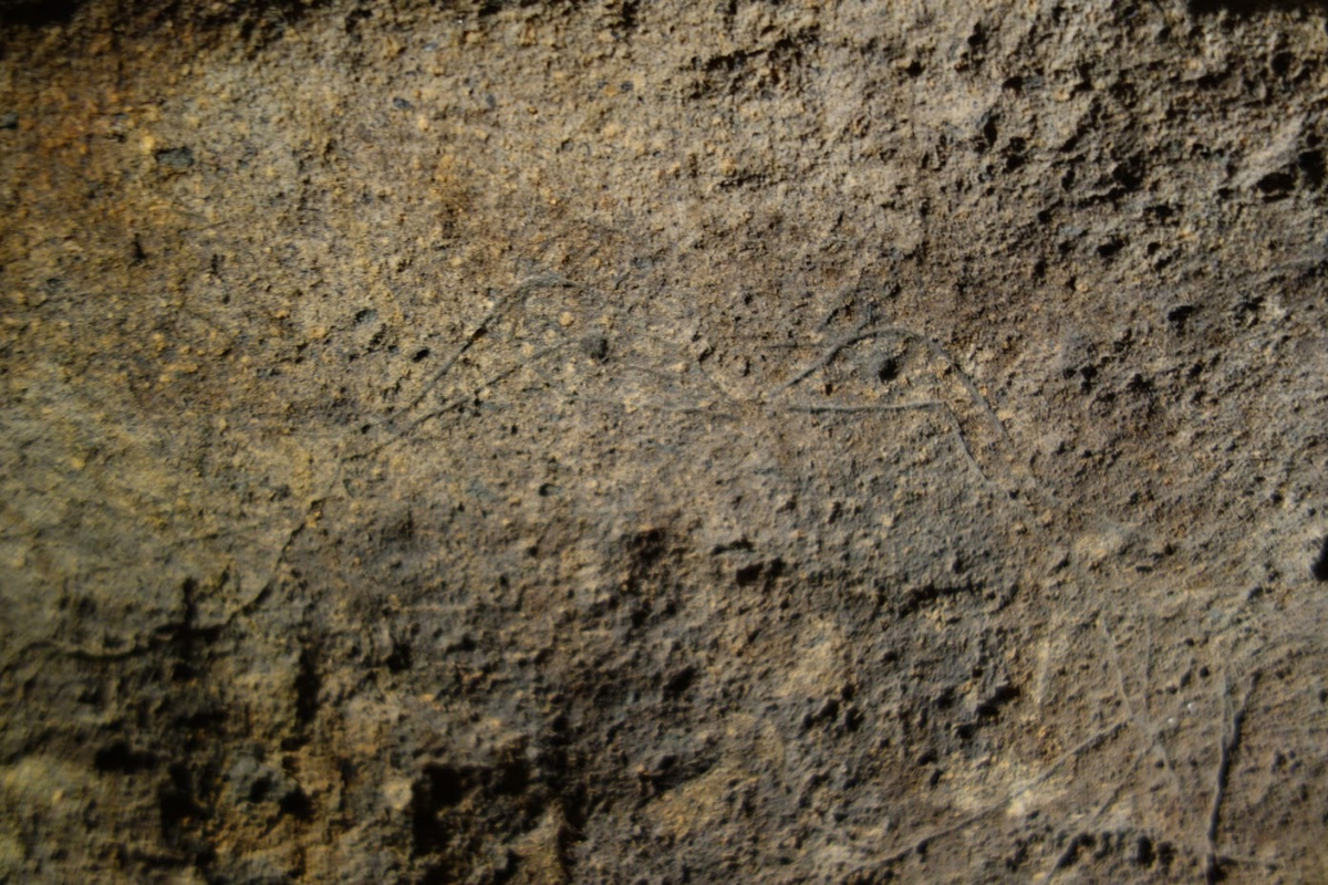 f:id:massneko:20200630111601p:plain