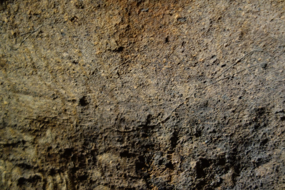 f:id:massneko:20200630111803p:plain
