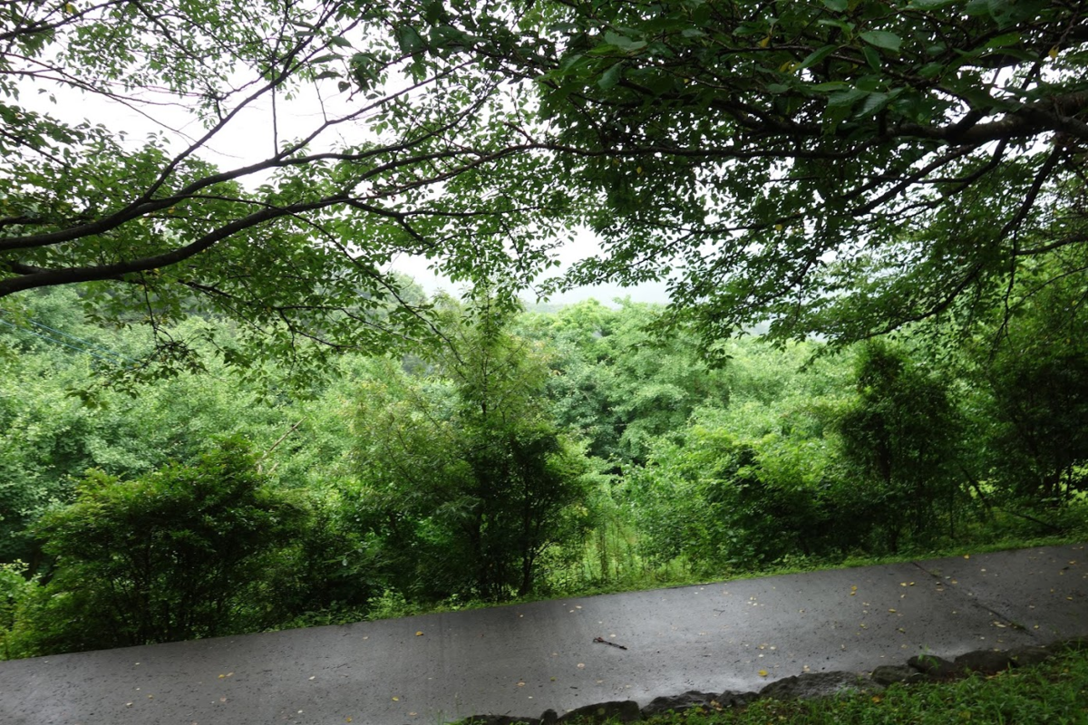 f:id:massneko:20200630112442p:plain