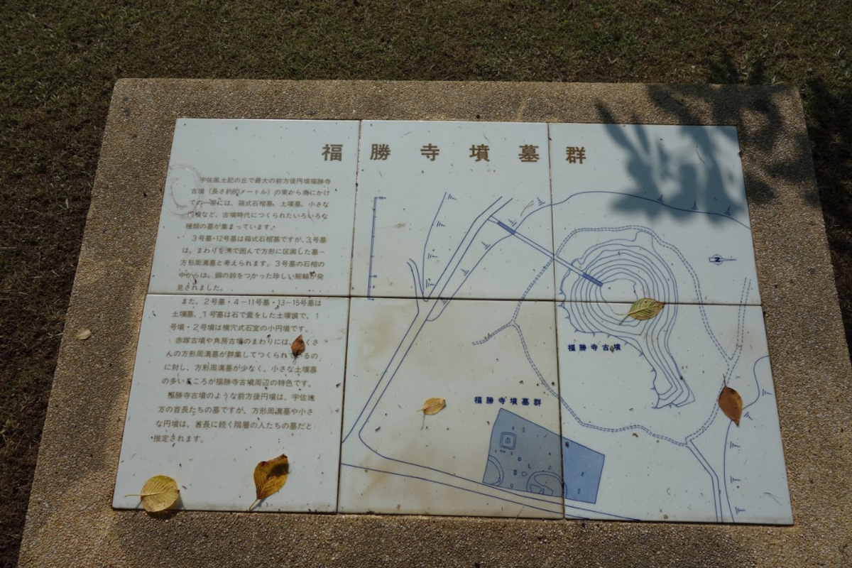 f:id:massneko:20200630221855p:plain f:id:massneko:20200630221855p:plain