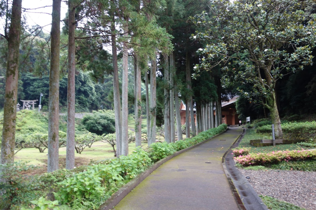 f:id:massneko:20200724220211p:plain