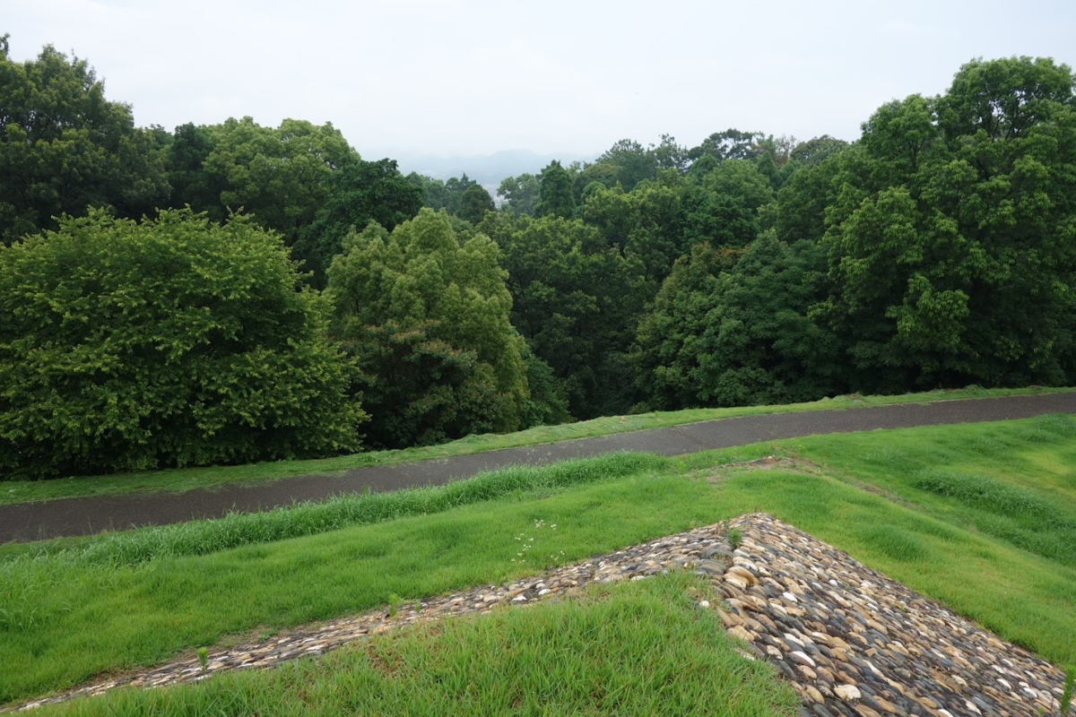 f:id:massneko:20200805213807p:plain