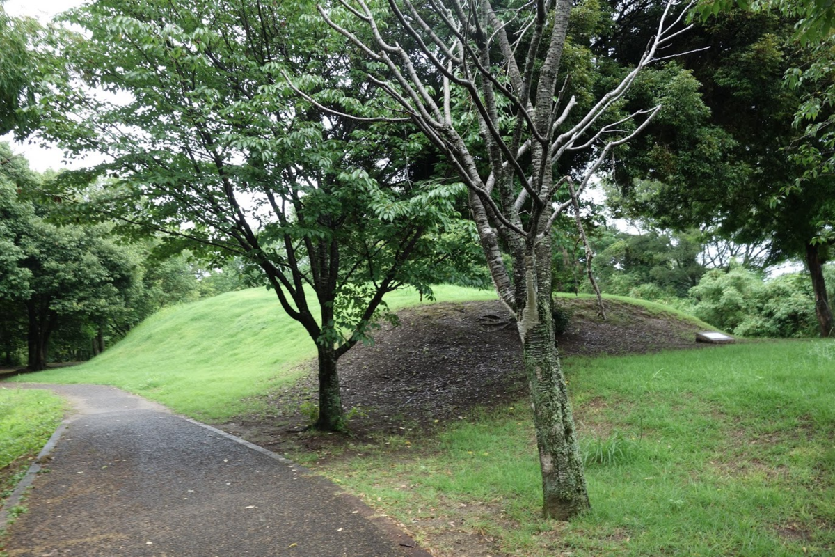 f:id:massneko:20200805221421p:plain