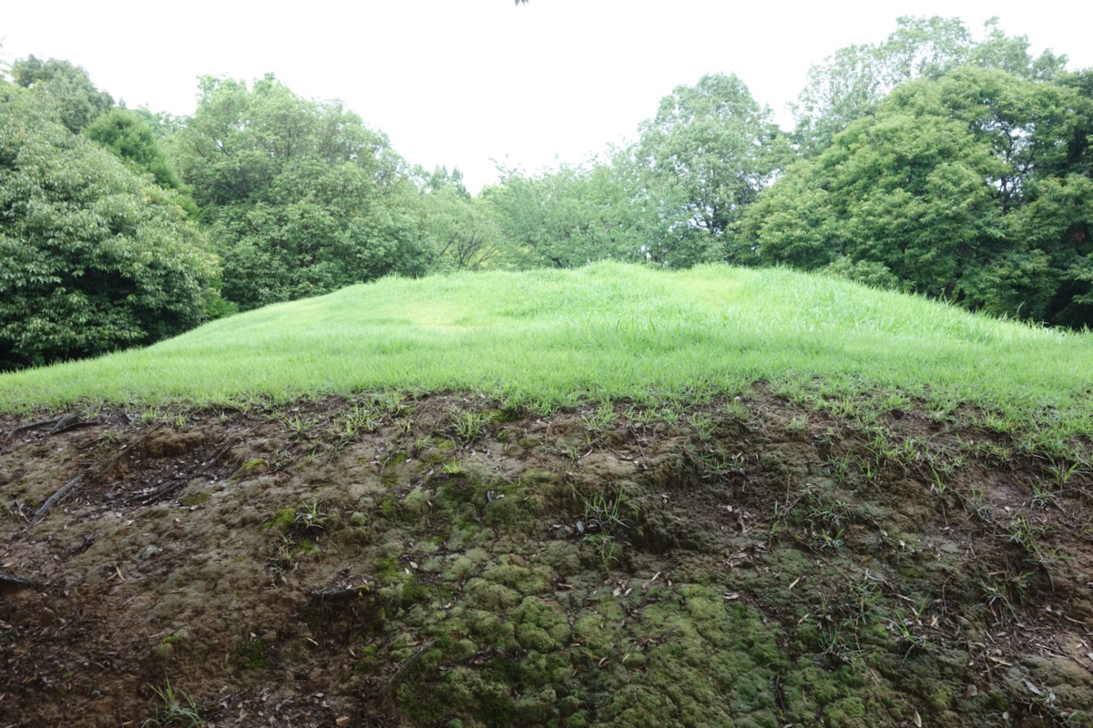 f:id:massneko:20200805221748p:plain