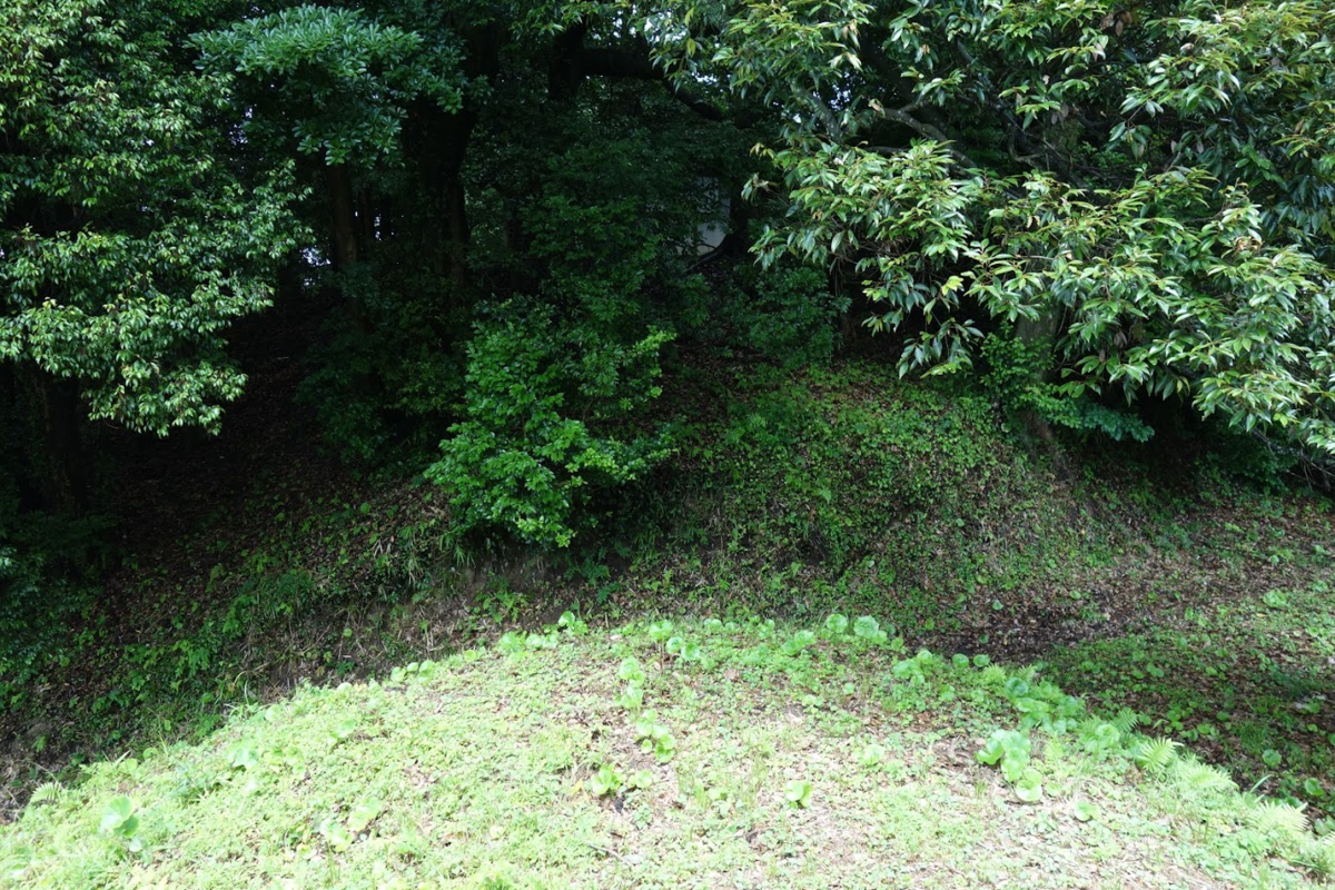 f:id:massneko:20200808100827p:plain