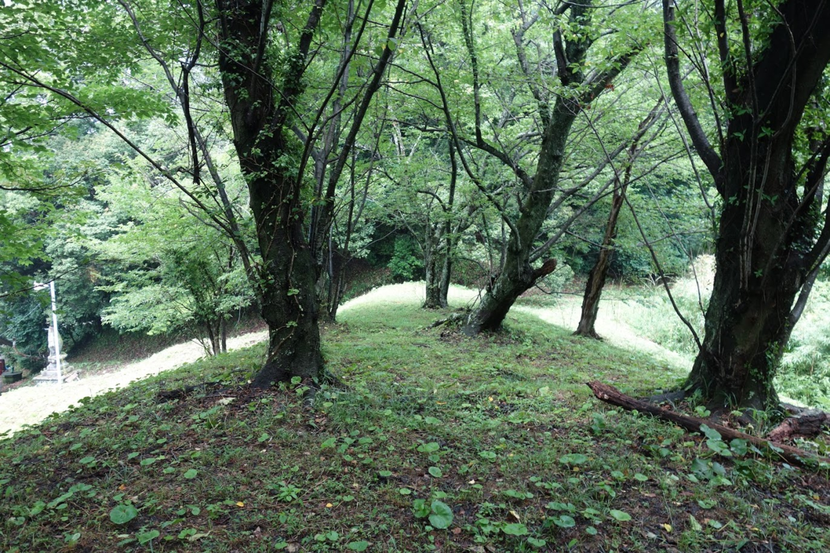 f:id:massneko:20200808100955p:plain