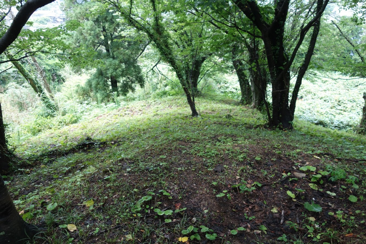 f:id:massneko:20200808101042p:plain