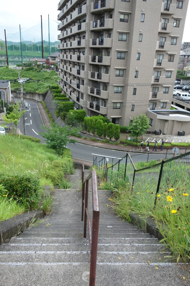 f:id:massneko:20200809134357p:plain