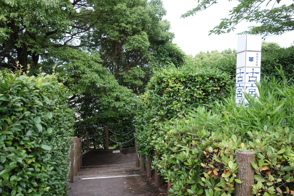 f:id:massneko:20200809134653p:plain