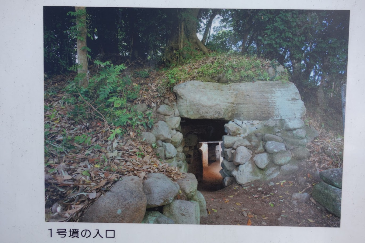 f:id:massneko:20200816161152p:plain