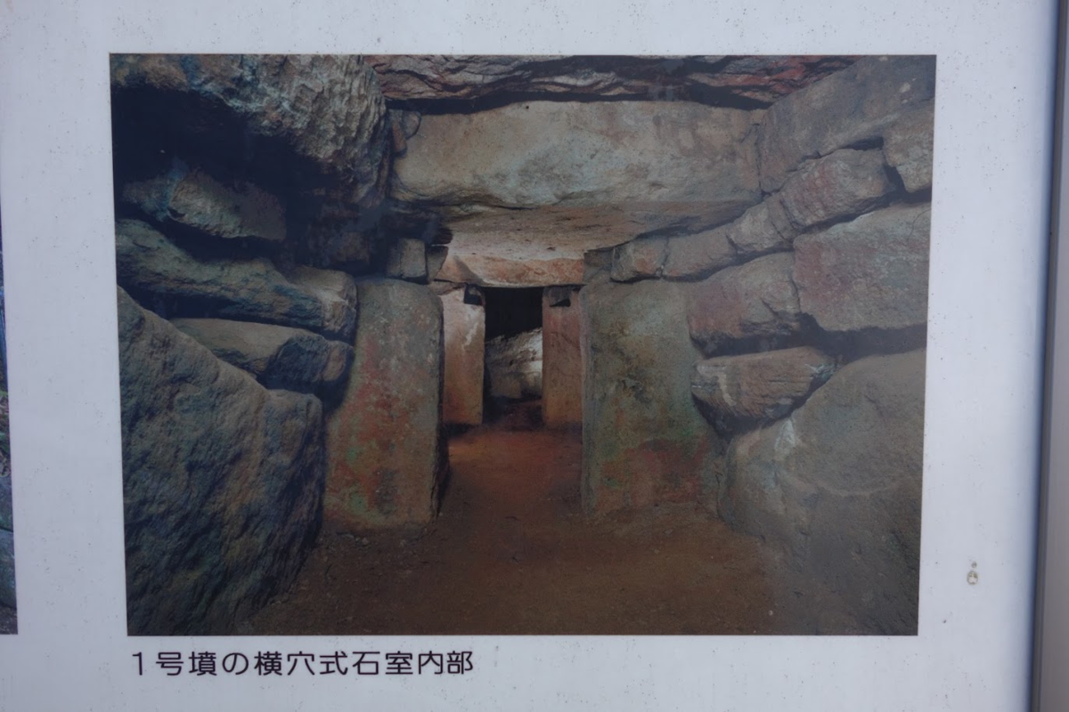 f:id:massneko:20200816161222p:plain