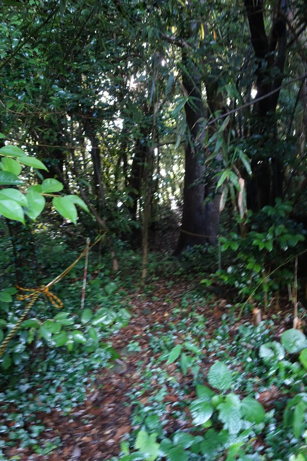f:id:massneko:20200816193711p:plain