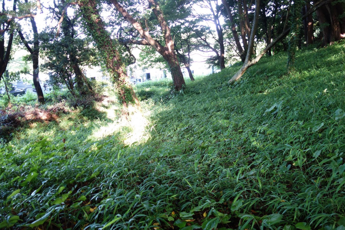 f:id:massneko:20200816195801p:plain f:id:massneko:20200816195801p:plain