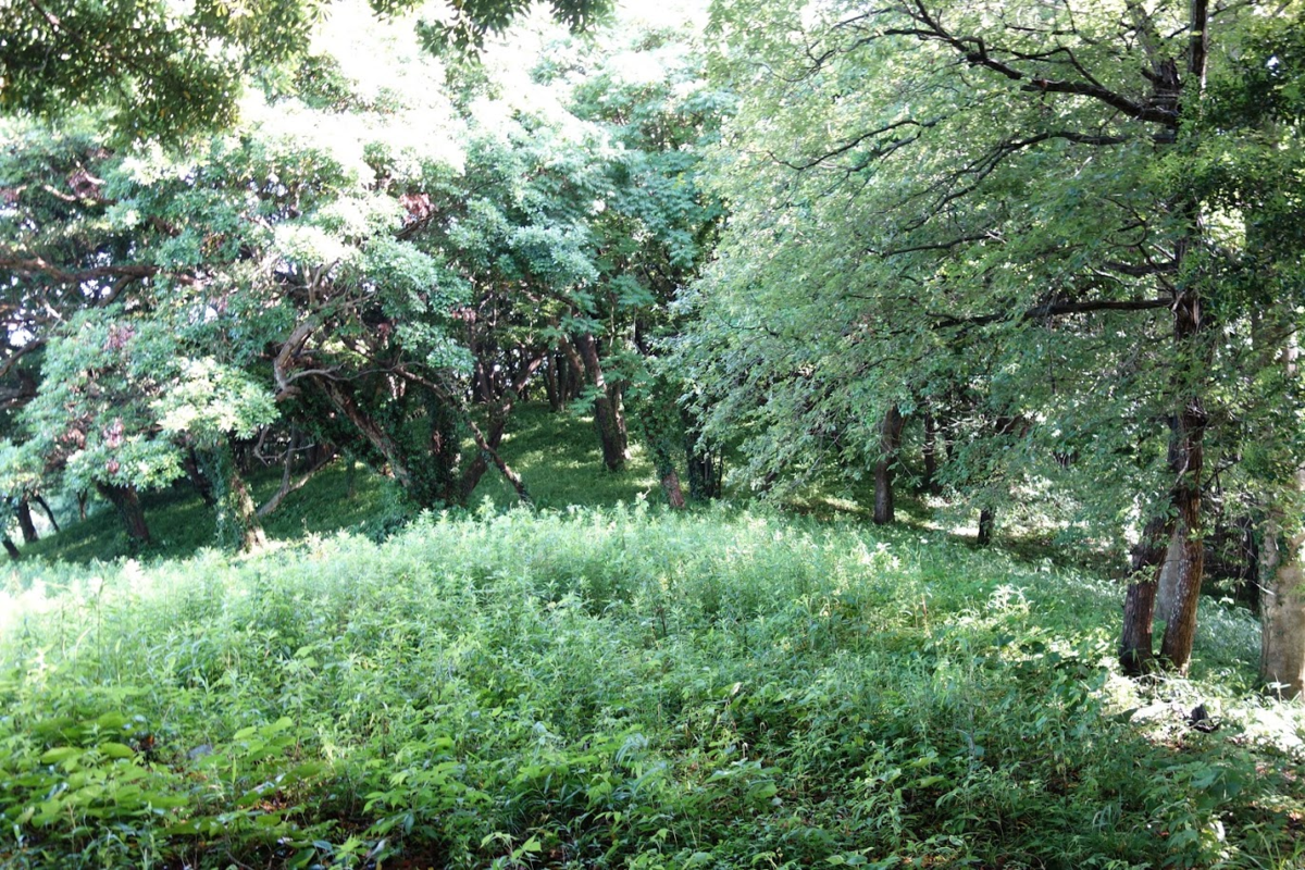 f:id:massneko:20200816195846p:plain f:id:massneko:20200816195846p:plain