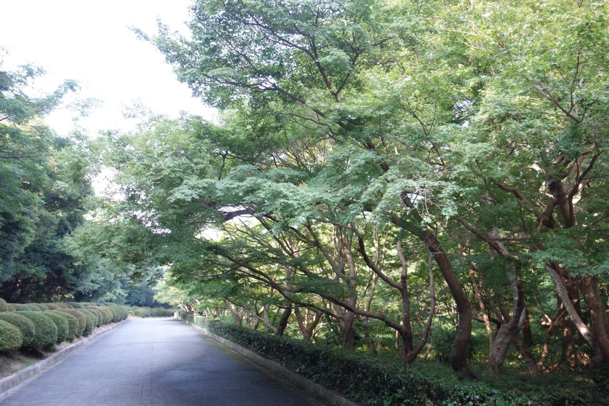 f:id:massneko:20200829173131p:plain