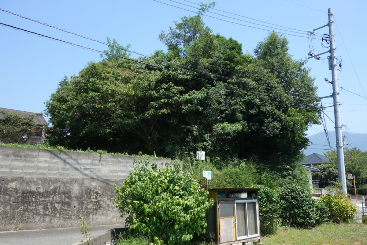 f:id:massneko:20200829174237p:plain