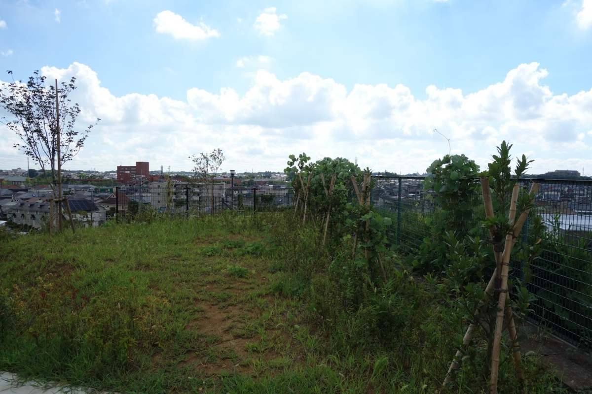 f:id:massneko:20200903183132p:plain