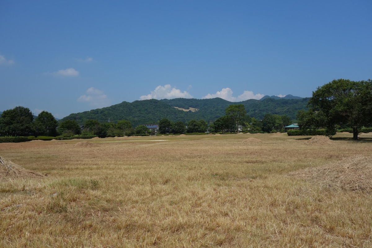 f:id:massneko:20200913121701p:plain