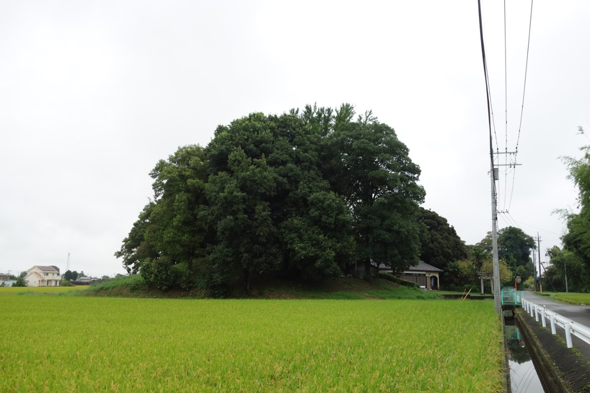 f:id:massneko:20200927200854p:plain