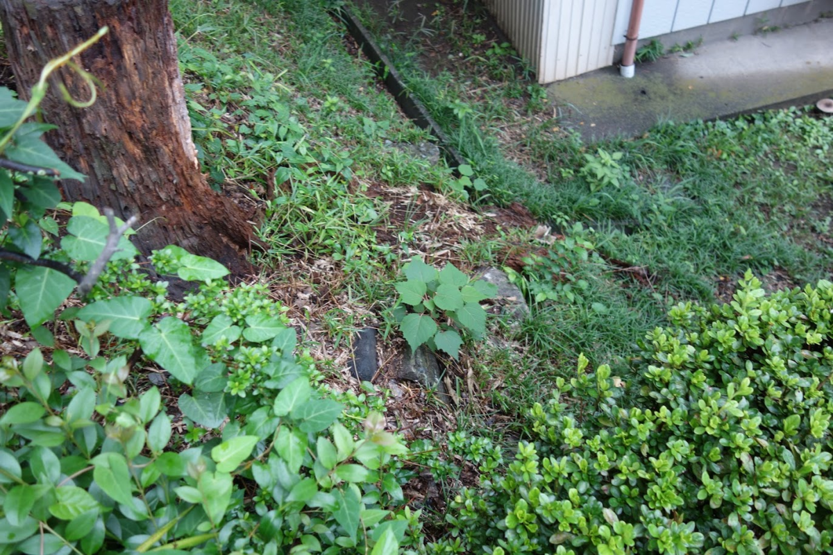 f:id:massneko:20201003090022p:plain