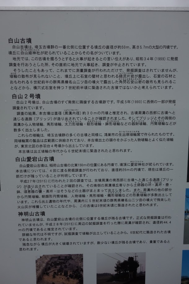 f:id:massneko:20201003090814p:plain