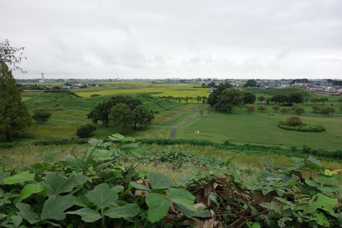 f:id:massneko:20201005232210p:plain