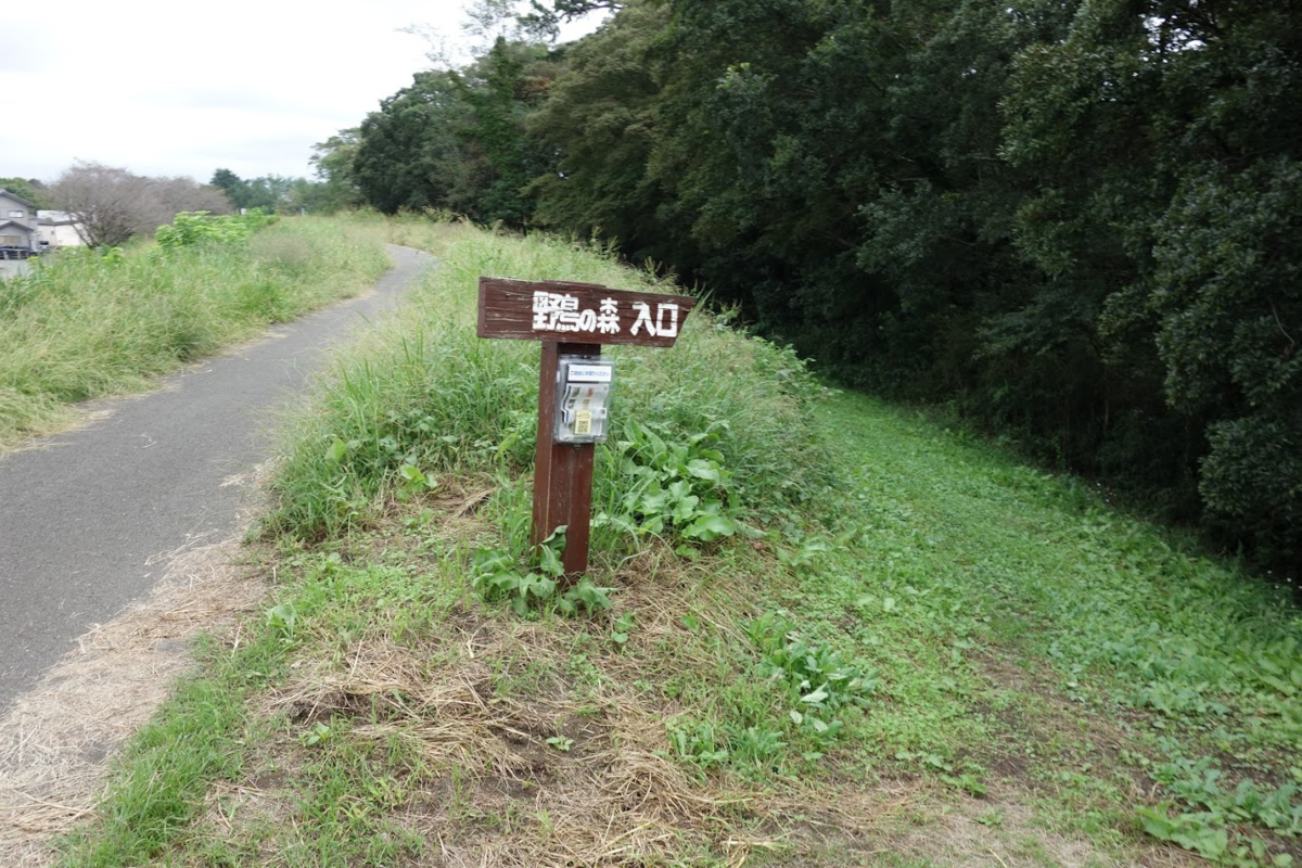 f:id:massneko:20201010143102p:plain