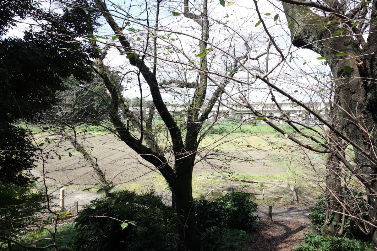 f:id:massneko:20201010143602p:plain f:id:massneko:20201010143602p:plain