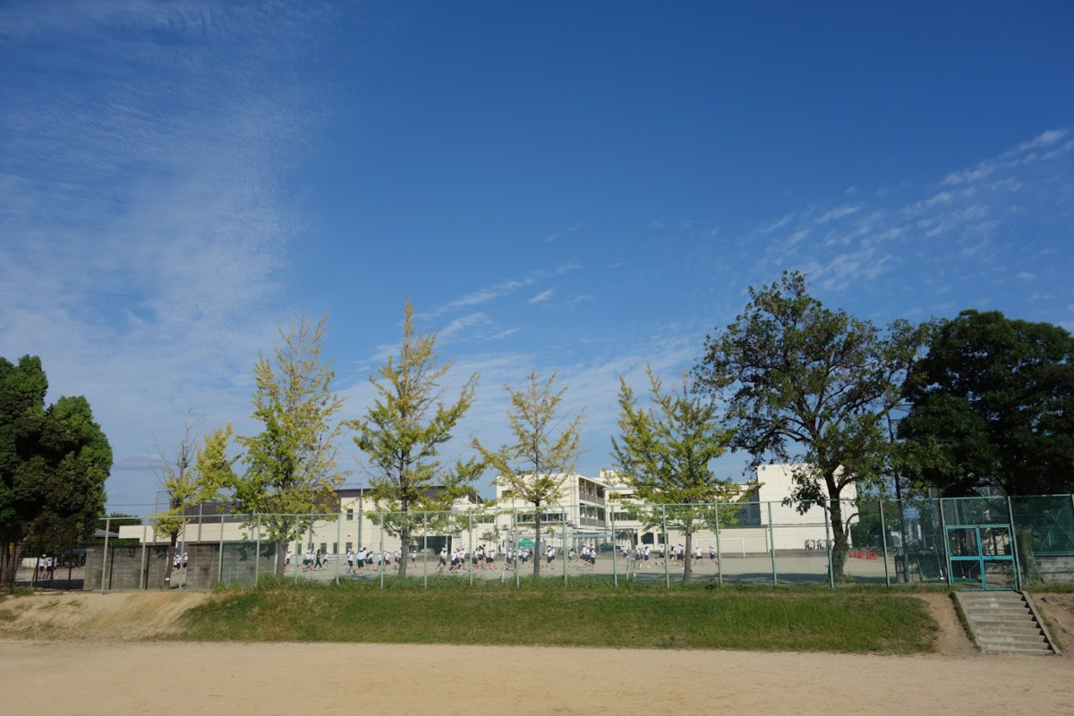 f:id:massneko:20201018205446p:plain