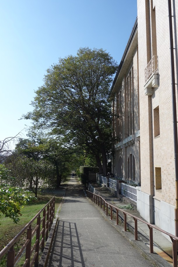 f:id:massneko:20201031230114p:plain