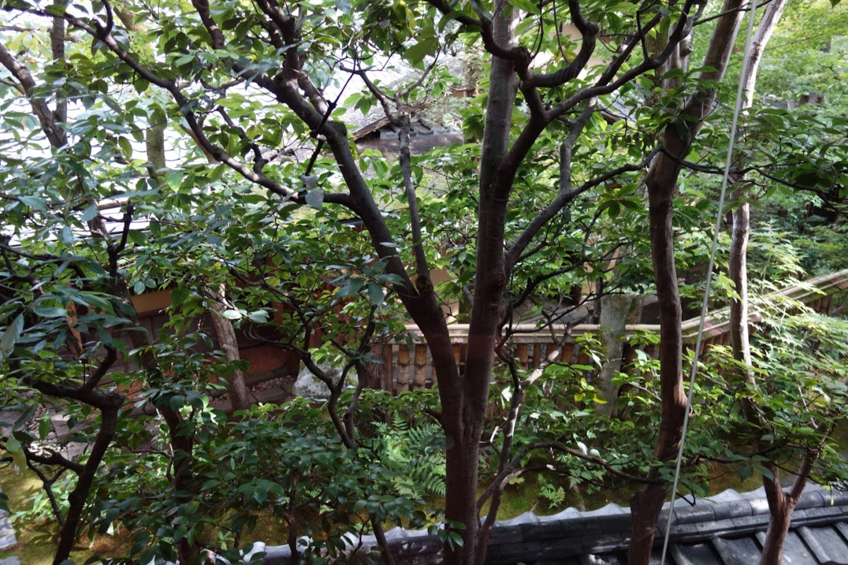 f:id:massneko:20201031231632p:plain