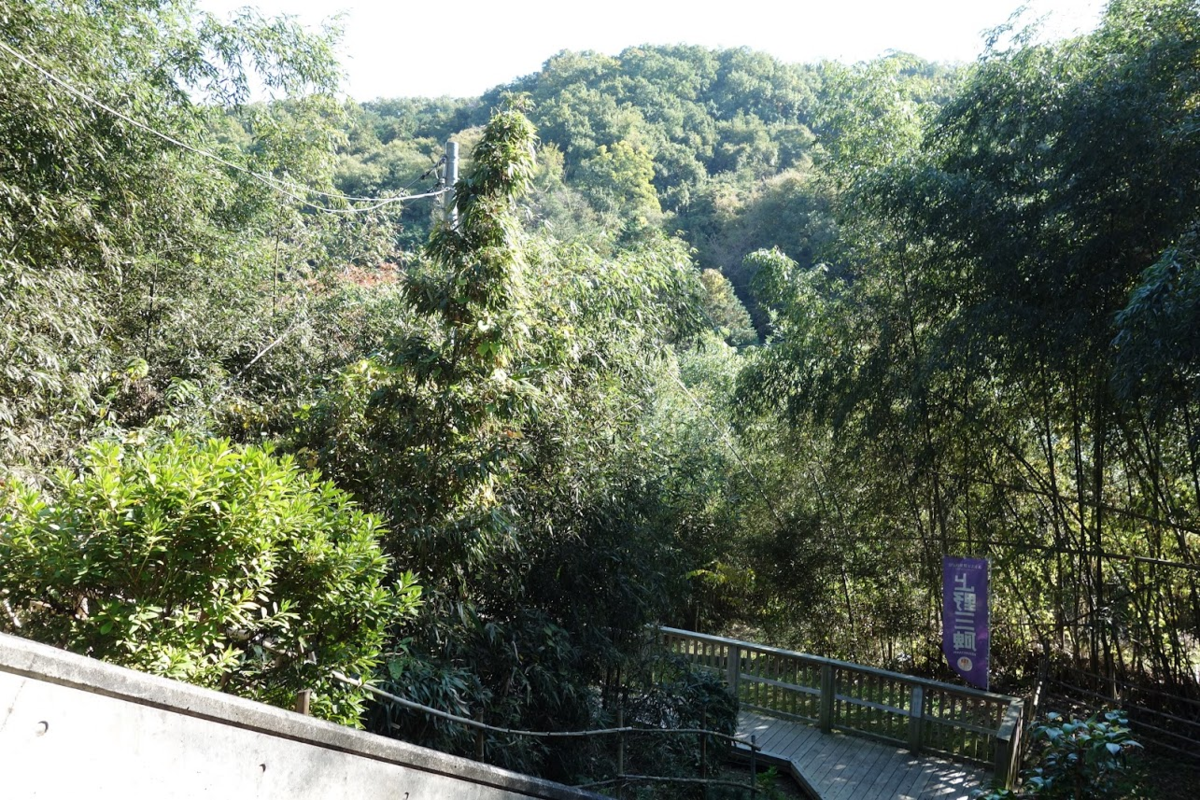 f:id:massneko:20201110162419p:plain