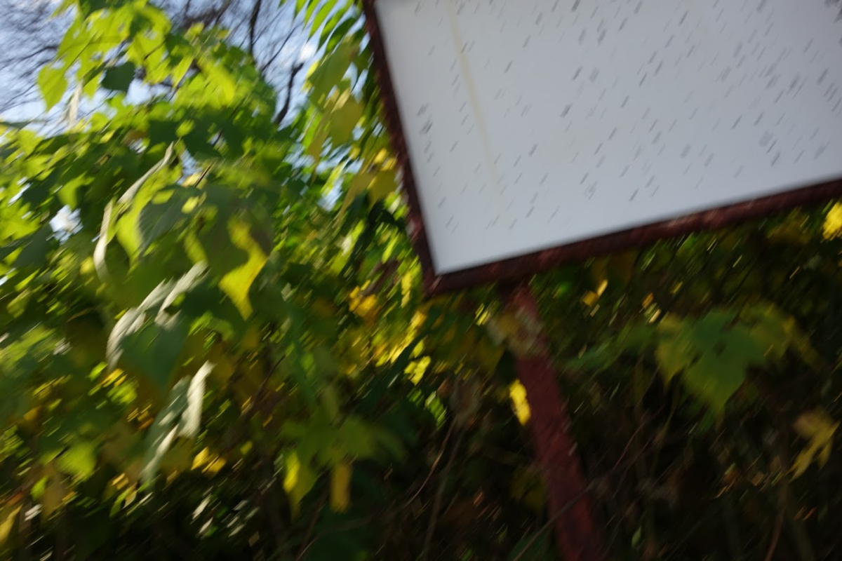 f:id:massneko:20201119224027p:plain