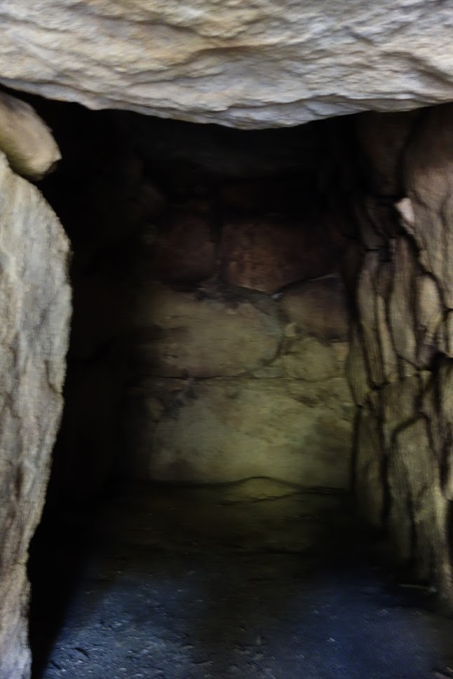 f:id:massneko:20201126110144p:plain