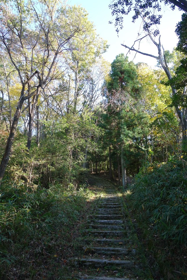 f:id:massneko:20201126110713p:plain
