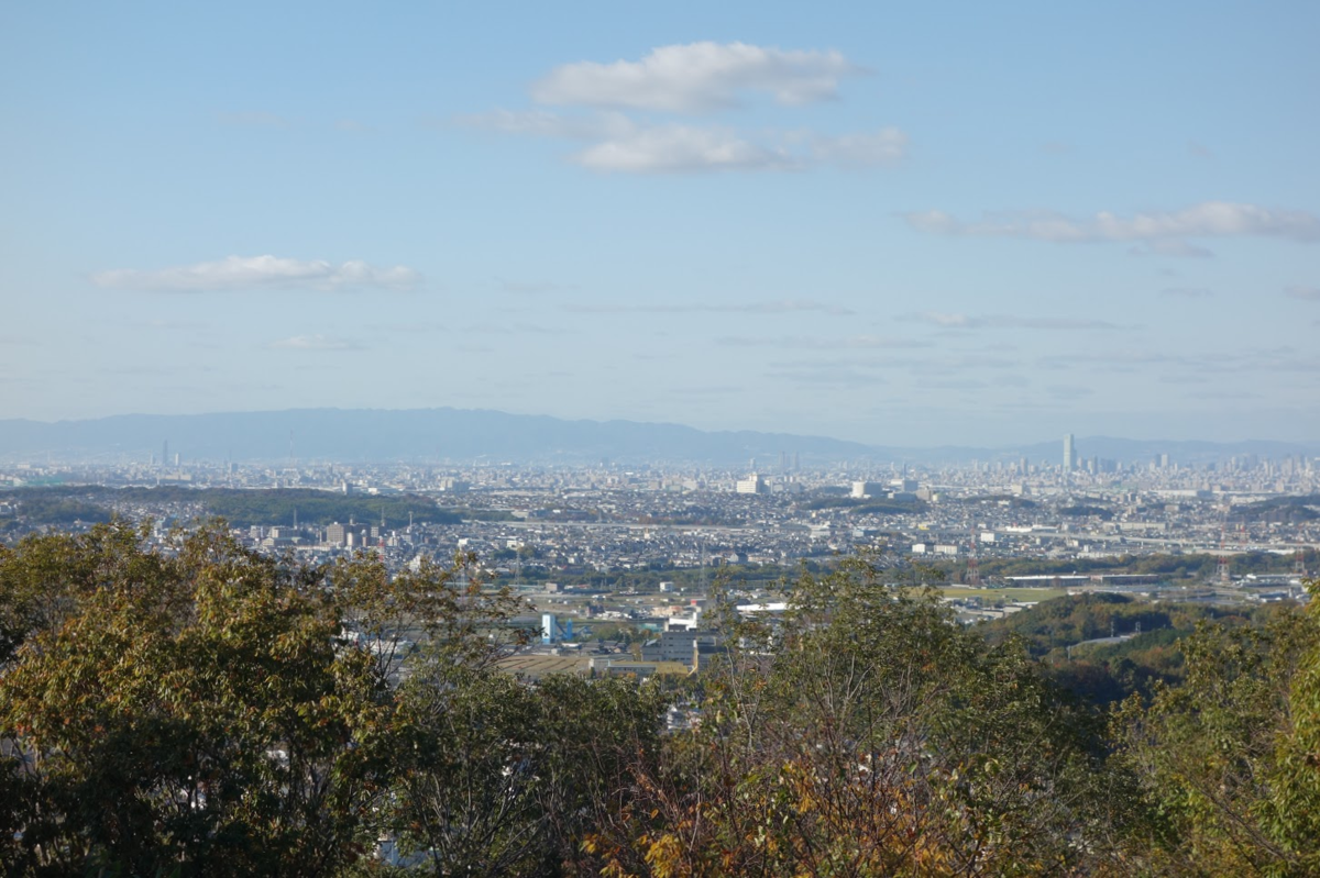 f:id:massneko:20201126110953p:plain