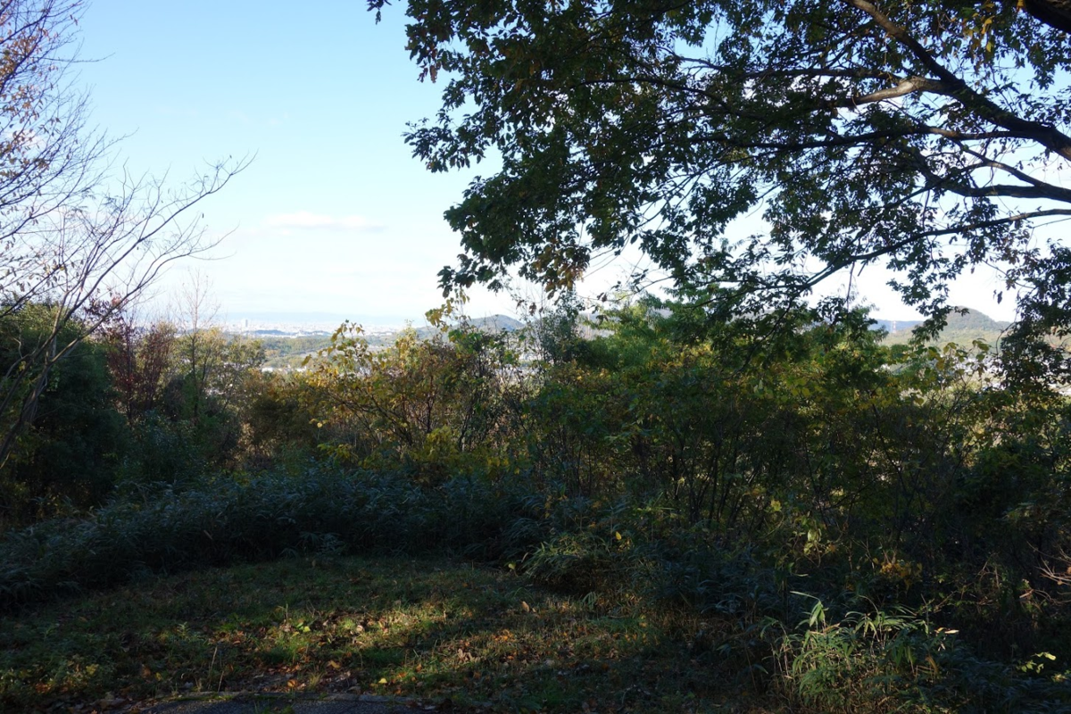 f:id:massneko:20201126111255p:plain