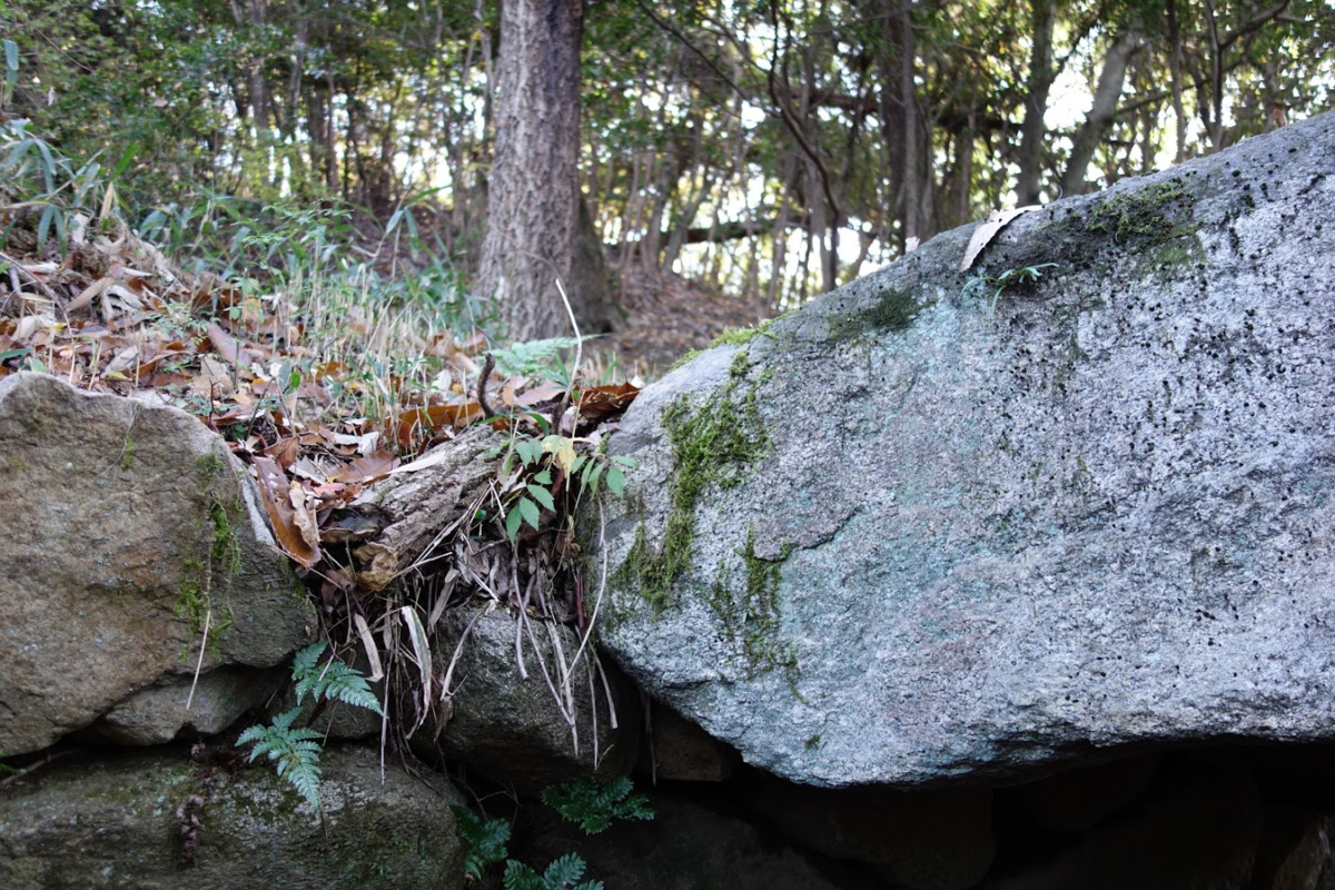 f:id:massneko:20201126111841p:plain