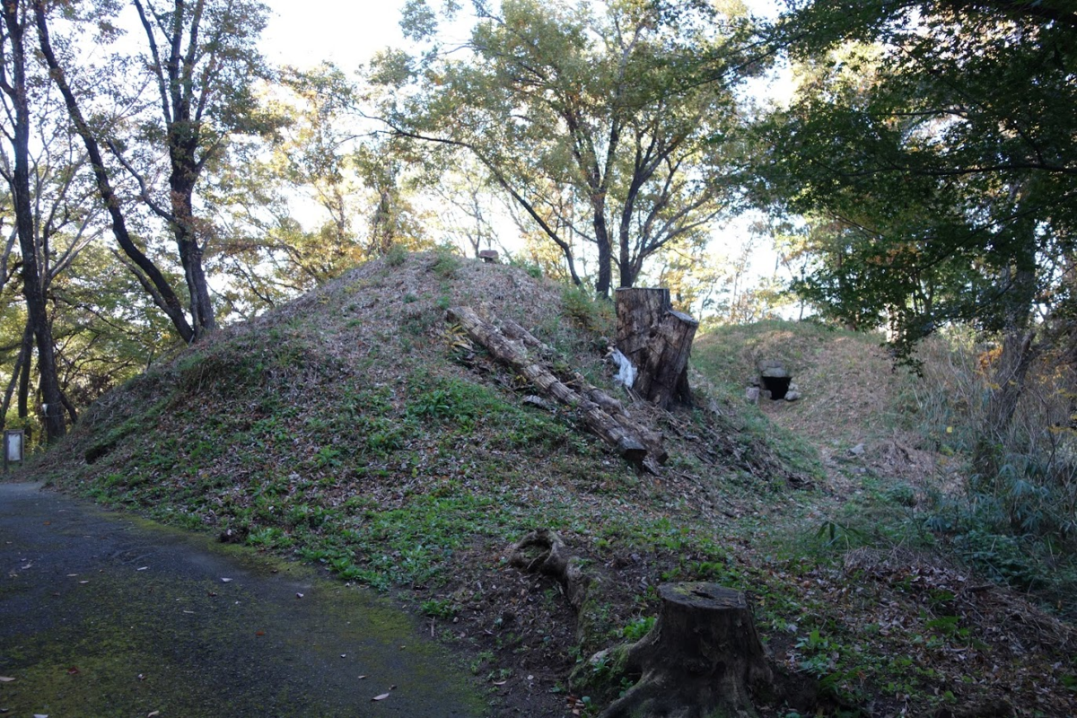 f:id:massneko:20201128123121p:plain