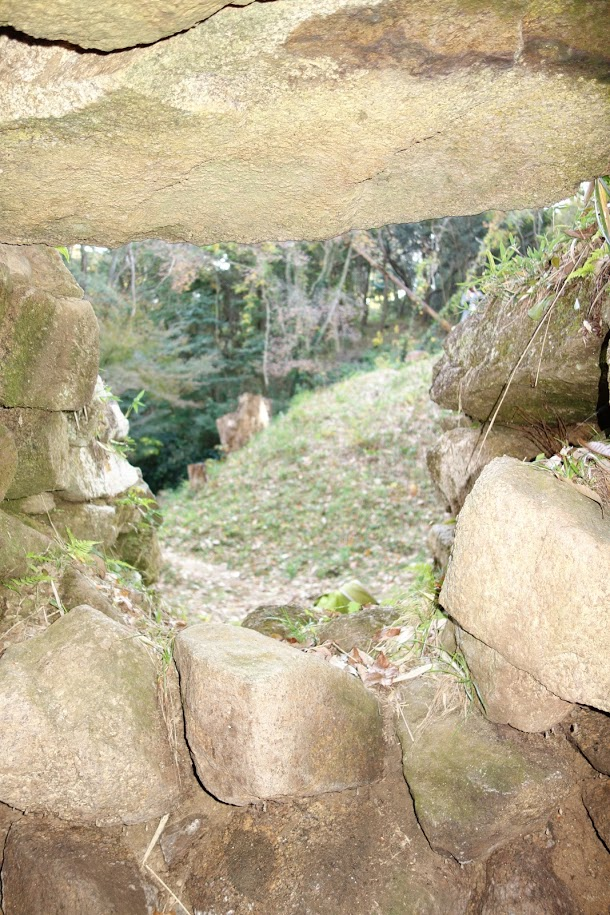 f:id:massneko:20201128123712p:plain