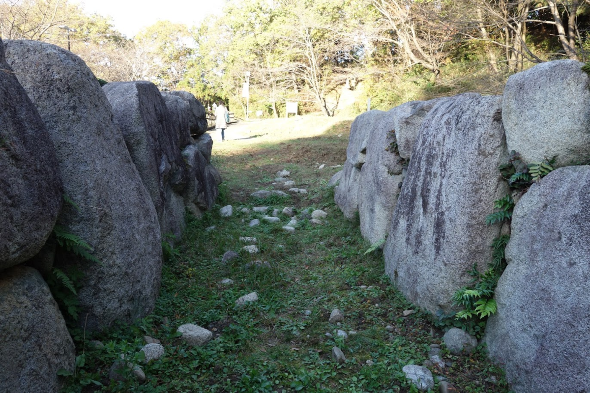 f:id:massneko:20201128124310p:plain