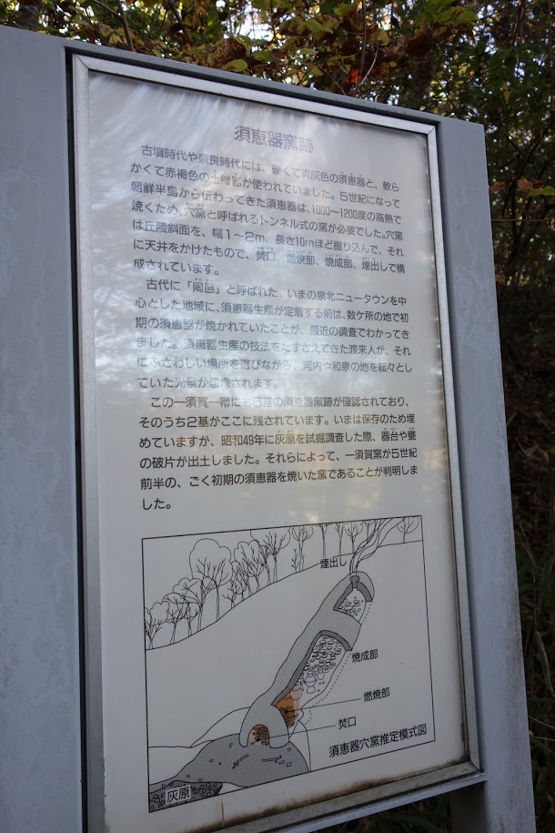 近つ飛鳥風土記の丘（一須賀古墳群）その6 須恵器窯跡・I支群5号