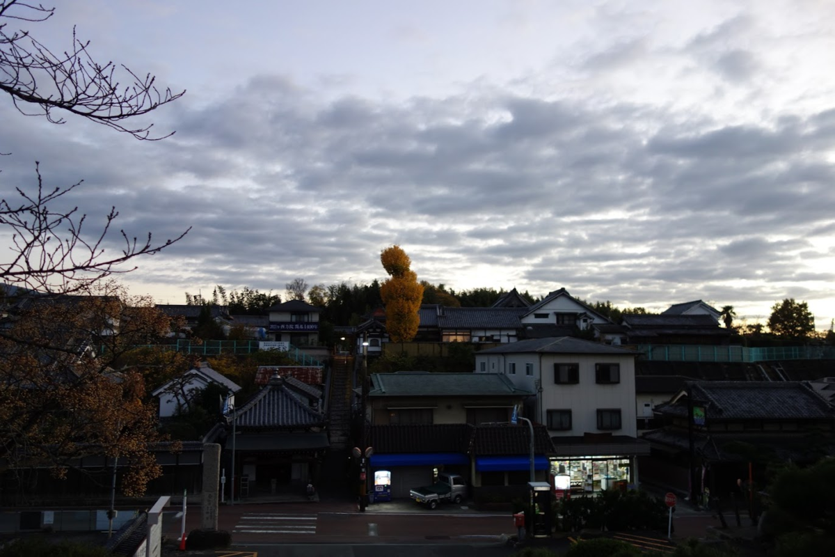 f:id:massneko:20201128204713p:plain