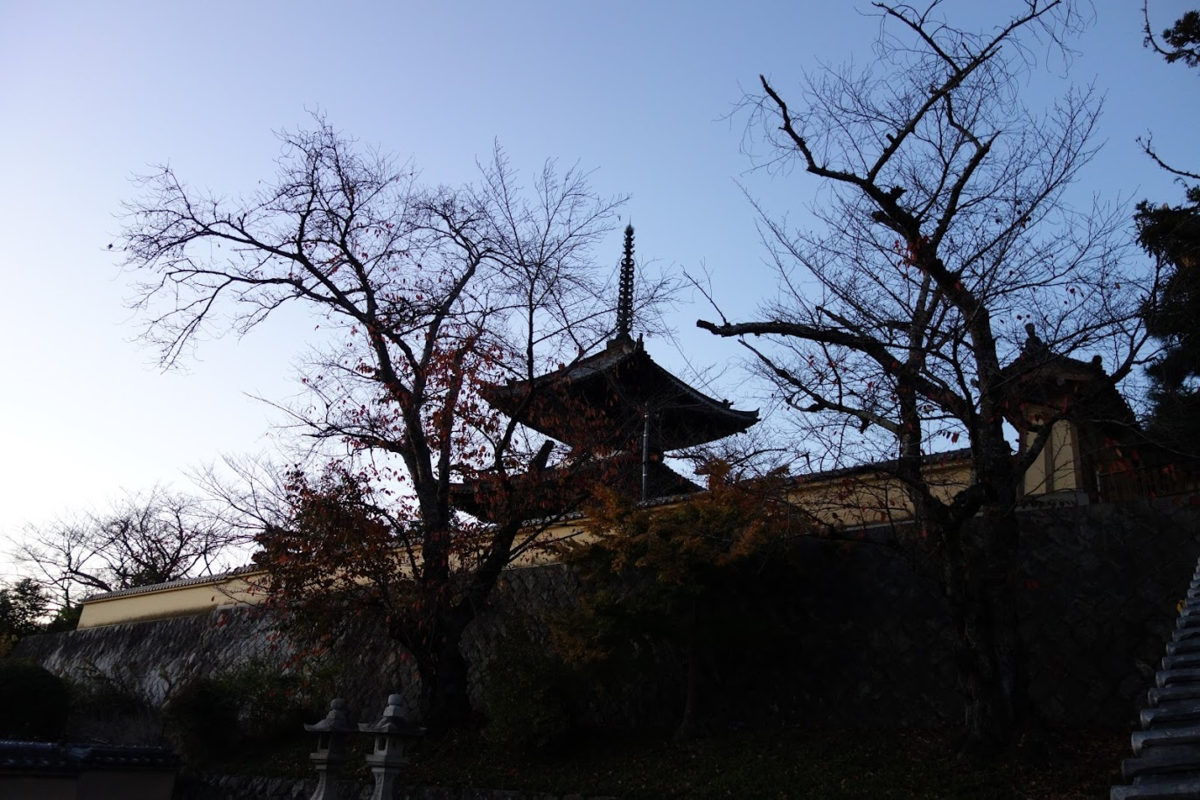 f:id:massneko:20201128204753p:plain