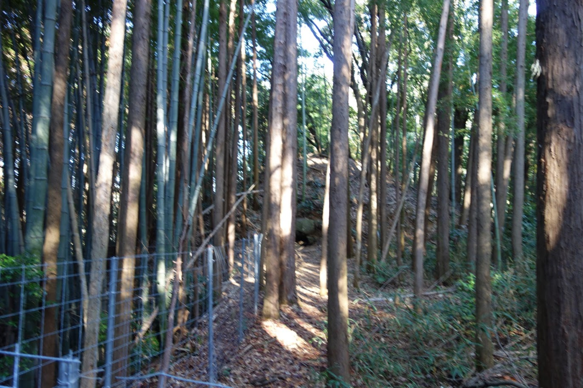 f:id:massneko:20201128213120p:plain